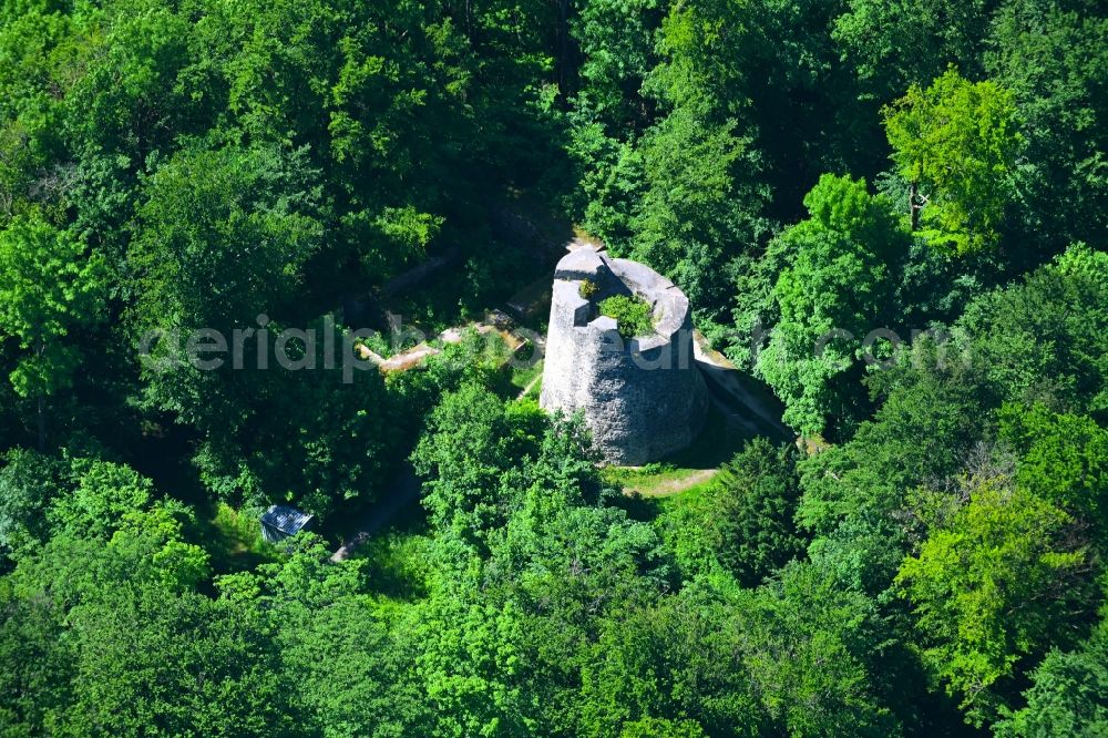 Bad Driburg from above - Ruins and vestiges of the former castle Iburg in Bad Driburg in the state North Rhine-Westphalia, Germany