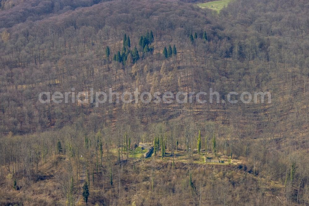 Aerial image Arnsberg - Ruins and vestiges of the former castle Ruedenburg in Arnsberg at Sauerland in the state North Rhine-Westphalia, Germany