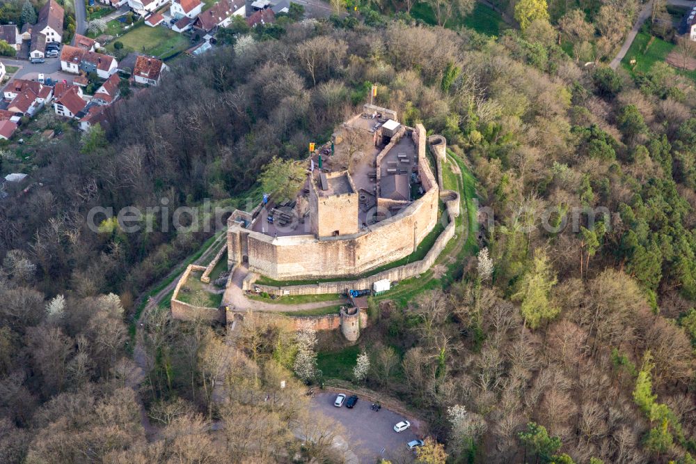 Klingenmünster from above - Ruins and vestiges of the former fortress Burg Landeck in Klingenmuenster in the state Rhineland-Palatinate, Germany