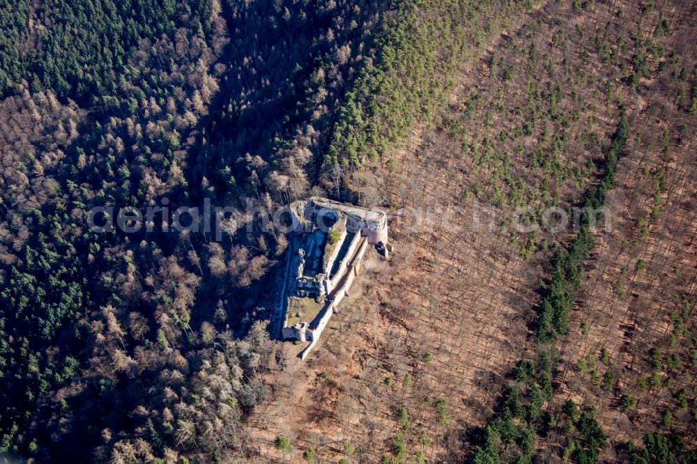 Ramberg from the bird's eye view: Ruins and vestiges of the former castle and fortress Burg Neuscharfeneck in Ramberg in the state Rhineland-Palatinate