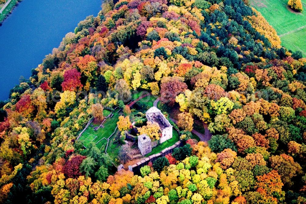 Aerial photograph Neckargerach - Ruins and vestiges of the former fortress Minneburg between autumn coloured forest over the river Necakar in Neckargerach in the state Baden-Wuerttemberg