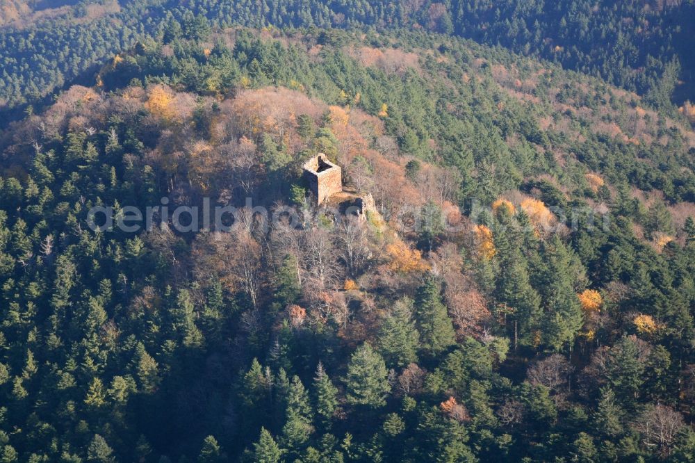 Aerial photograph Riquewihr - Ruins and vestiges of the former castle and fortress Castle Bilstein in Riquewihr in France