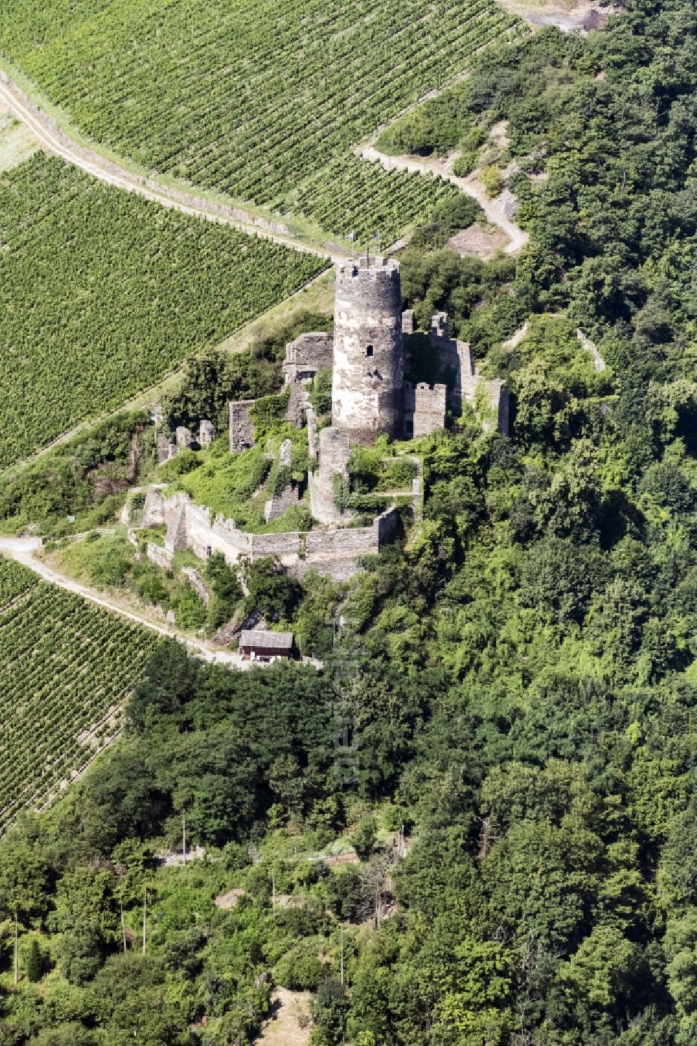 Aerial image Lorch - Ruins and vestiges of the former castle and fortress Burg Nollig in Lorch in the state Hesse, Germany