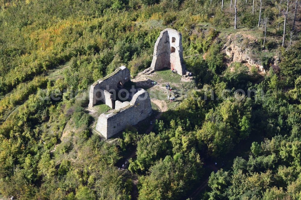 Ebringen from the bird's eye view: Ruins and vestiges of the former castle and fortress Burgruine Schneeburg in the district Sankt Georgen in Ebringen in the state Baden-Wurttemberg, Germany