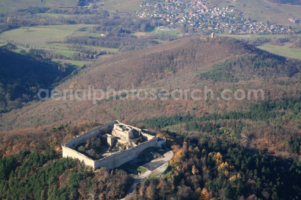 Wintzenheim from the bird's eye view: Ruins and vestiges of the former castle and fortress Chateau du Haut-Landsbourg in Wintzenheim in Frankreich