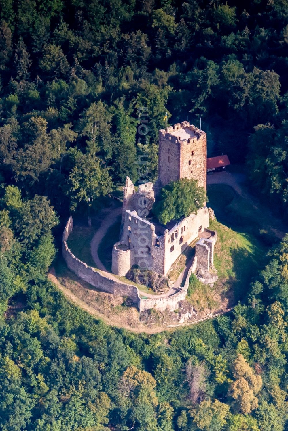 Waldkirch from the bird's eye view: Ruins and vestiges of the former castle and fortress Kastellburg in Waldkirch in the state Baden-Wurttemberg, Germany