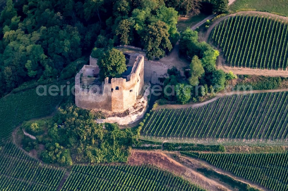 Aerial image Hecklingen - Ruins and vestiges of the former castle and fortress Lichteneck in Hecklingen in the state Baden-Wurttemberg, Germany