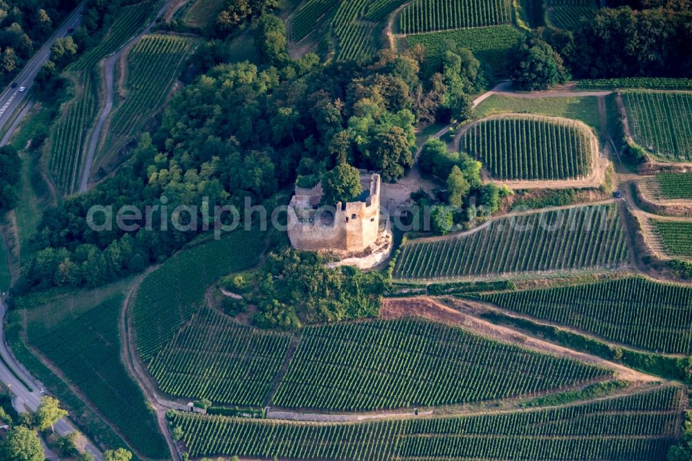 Aerial photograph Hecklingen - Ruins and vestiges of the former castle and fortress Lichteneck in Hecklingen in the state Baden-Wurttemberg, Germany