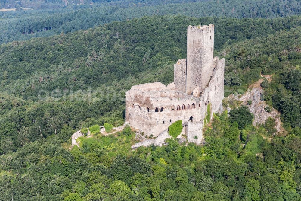 Scherwiller from the bird's eye view: Ruins and vestiges of the former castle and fortress Ramstein in Scherwiller in Grand Est, France