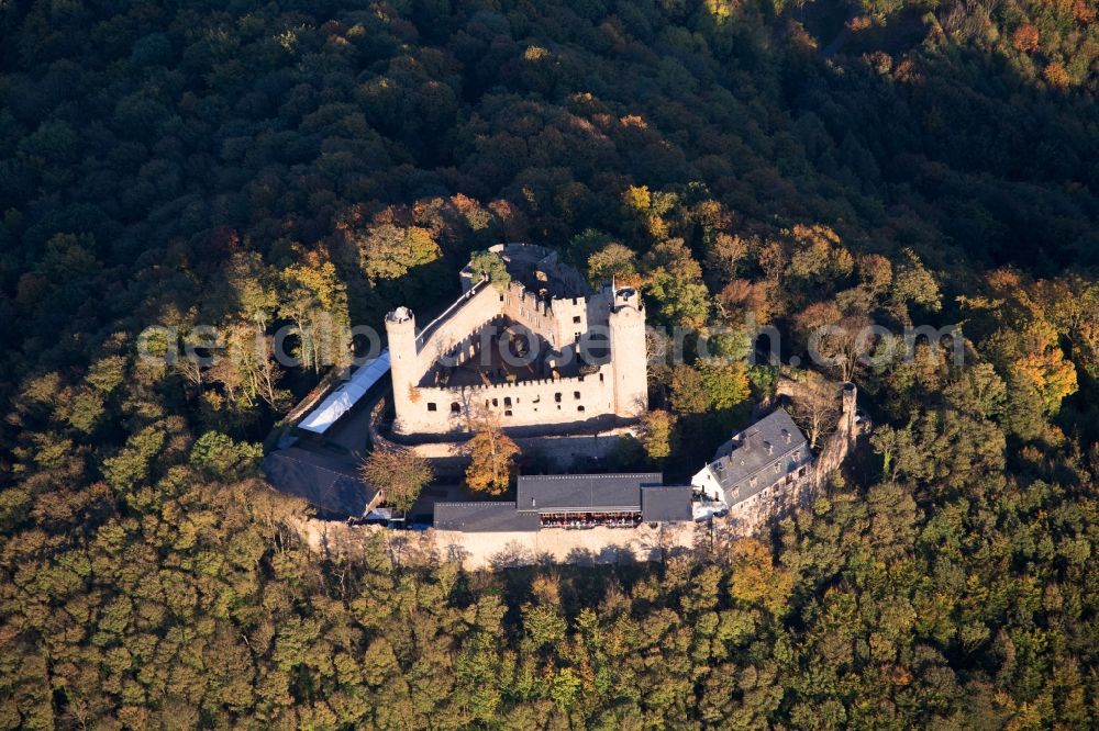 Alsbach-Hähnlein from the bird's eye view: Ruins and vestiges of the former castle and fortress Schloss Auerbach in the district Alsbach in Alsbach-Haehnlein in the state Hesse