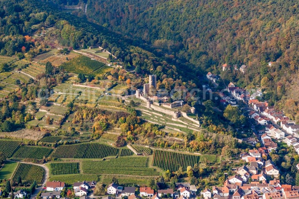 Aerial image Wachenheim an der Weinstraße - Ruins and vestiges of the former castle and fortress Wachtenburg (Ruin Burg Wachenheim) in Wachenheim an der Weinstrasse in the state Rhineland-Palatinate, Germany