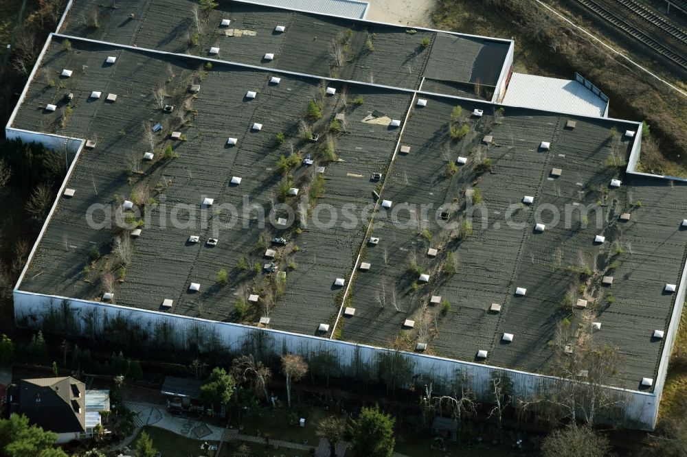 Mühlenbecker Land from above - Ruins of dilapidated warehouses and forwarding building der DDR- Stasi Firma KuA GmbH an der Kastanienallee in Muehlenbeck in the state Brandenburg