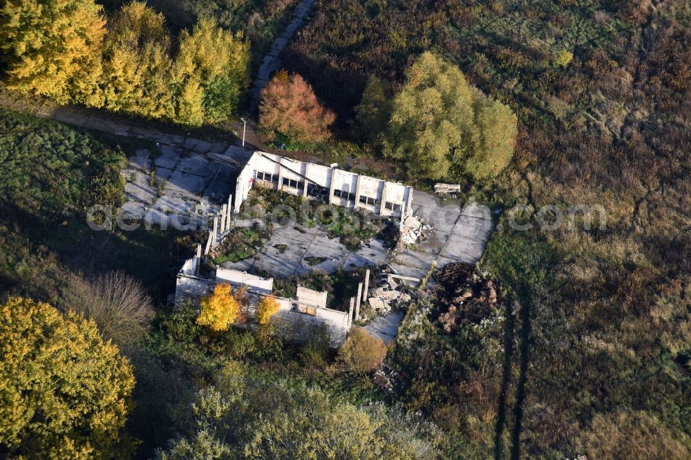 Petershagen from the bird's eye view: Ruin of abandoned agricultural function building in Petershagen in the state Brandenburg