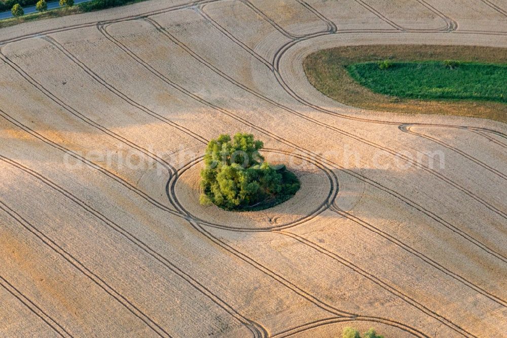 Gerswalde from the bird's eye view: Round structure from glacier remain on a field in Gerswalde in the state Brandenburg, Germany