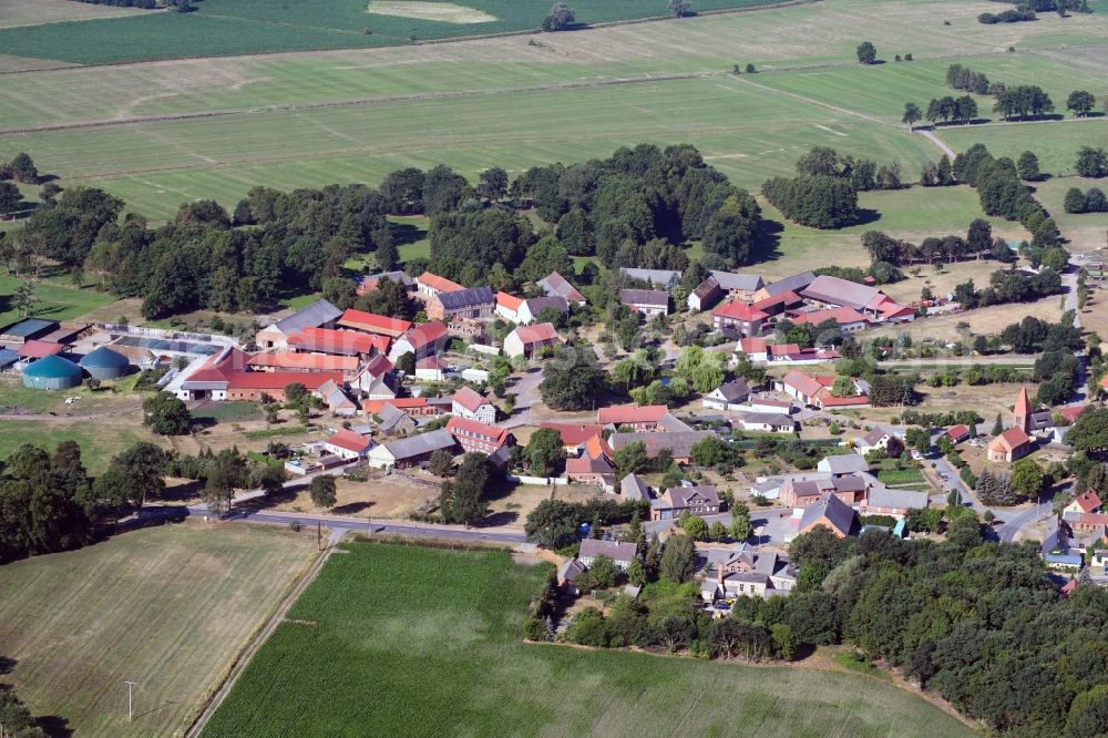 Cheinitz from the bird's eye view: Village view with radiating round - shaped farmsteads and residential buildings in the center of the village in Cheinitz in the state Saxony-Anhalt, Germany