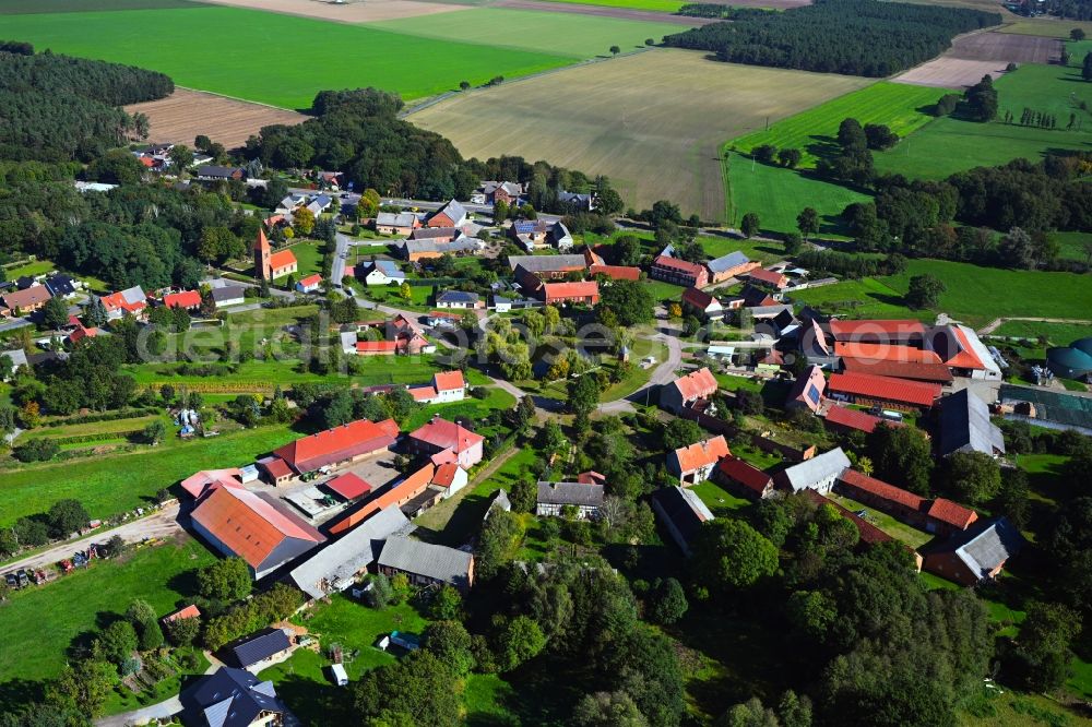 Aerial photograph Cheinitz - Village view with radiating round - shaped farmsteads and residential buildings in the center of the village in Cheinitz in the state Saxony-Anhalt, Germany