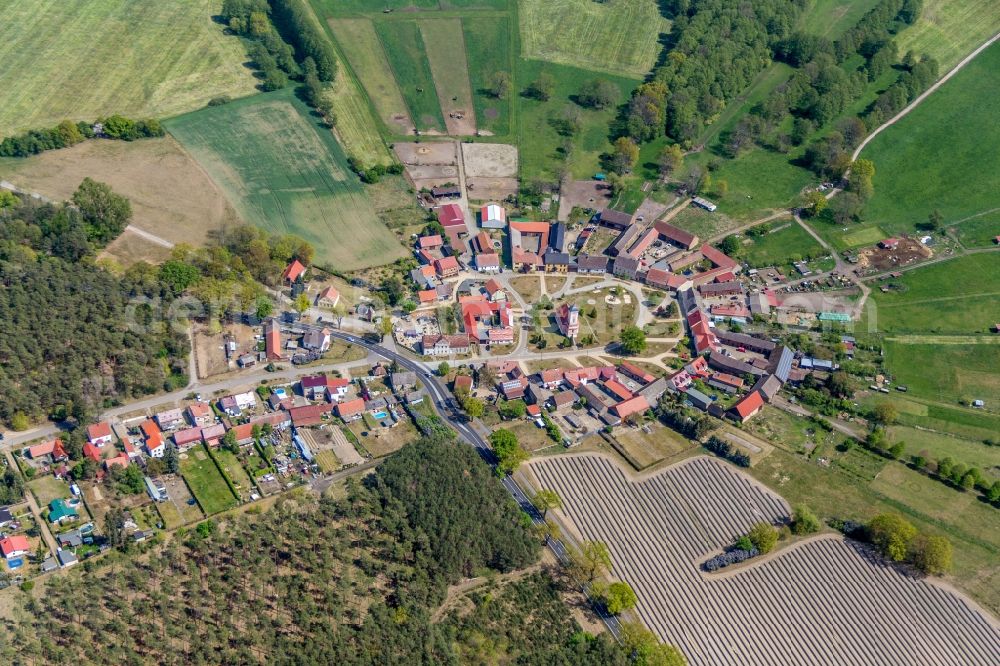 Reesdorf from the bird's eye view: Village view with radiating round - shaped farmsteads and residential buildings in the center of the village in Reesdorf in the state Brandenburg, Germany