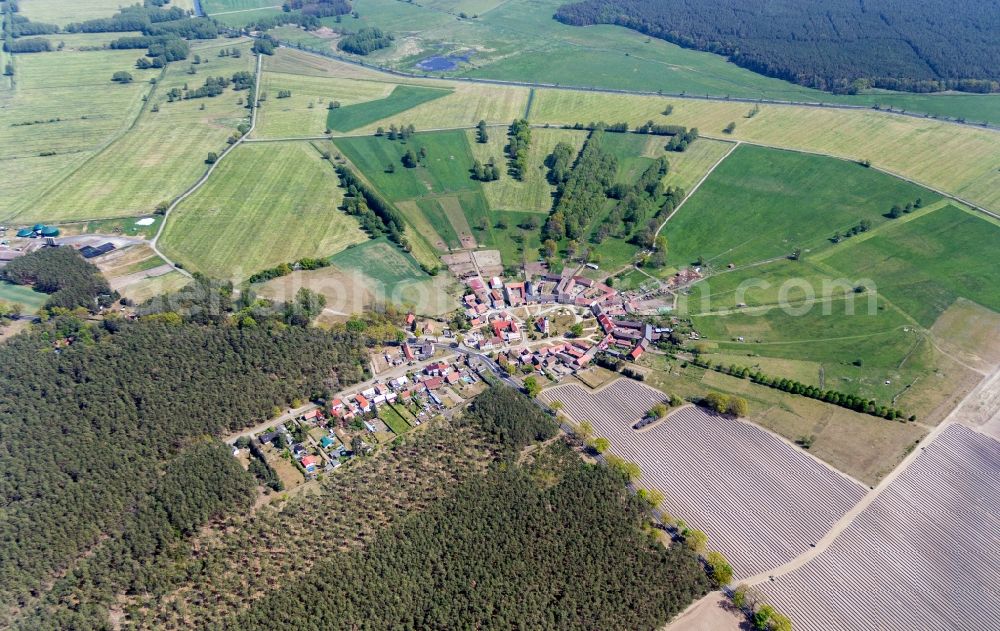 Aerial image Reesdorf - Village view with radiating round - shaped farmsteads and residential buildings in the center of the village in Reesdorf in the state Brandenburg, Germany