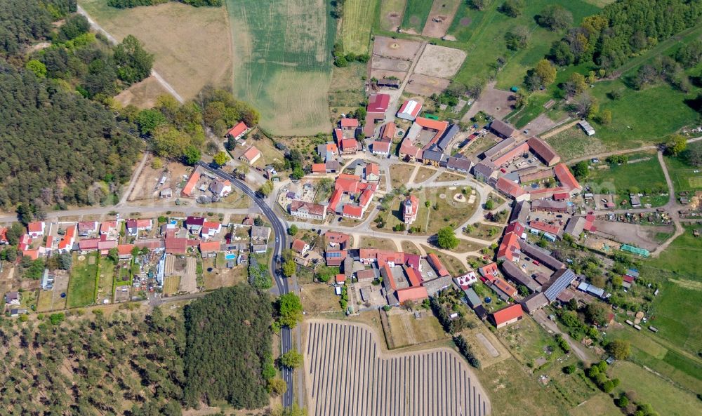 Aerial image Reesdorf - Village view with radiating round - shaped farmsteads and residential buildings in the center of the village in Reesdorf in the state Brandenburg, Germany