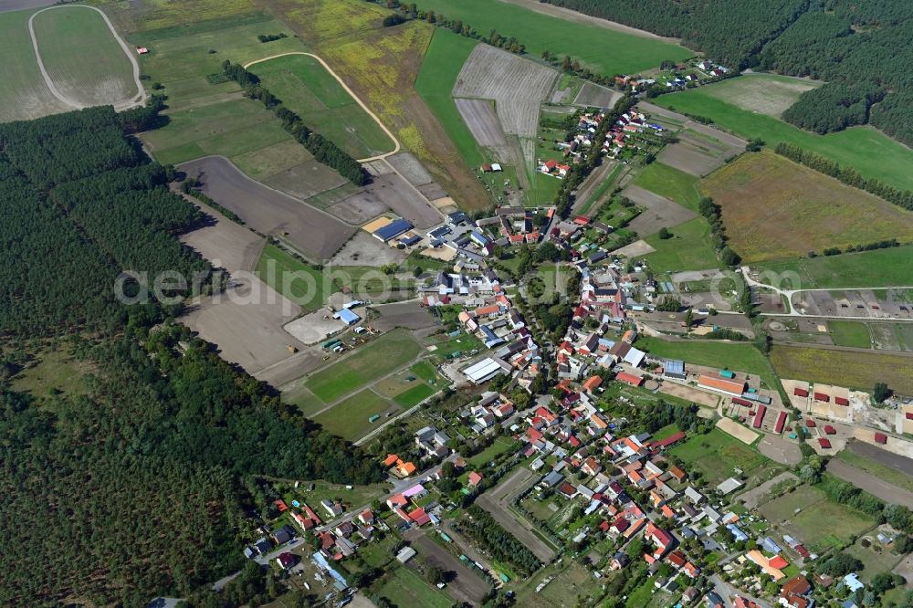Schöneiche from the bird's eye view: Village view with radiating round - shaped farmsteads and residential buildings in the center of the village in Schoeneiche in the state Brandenburg, Germany