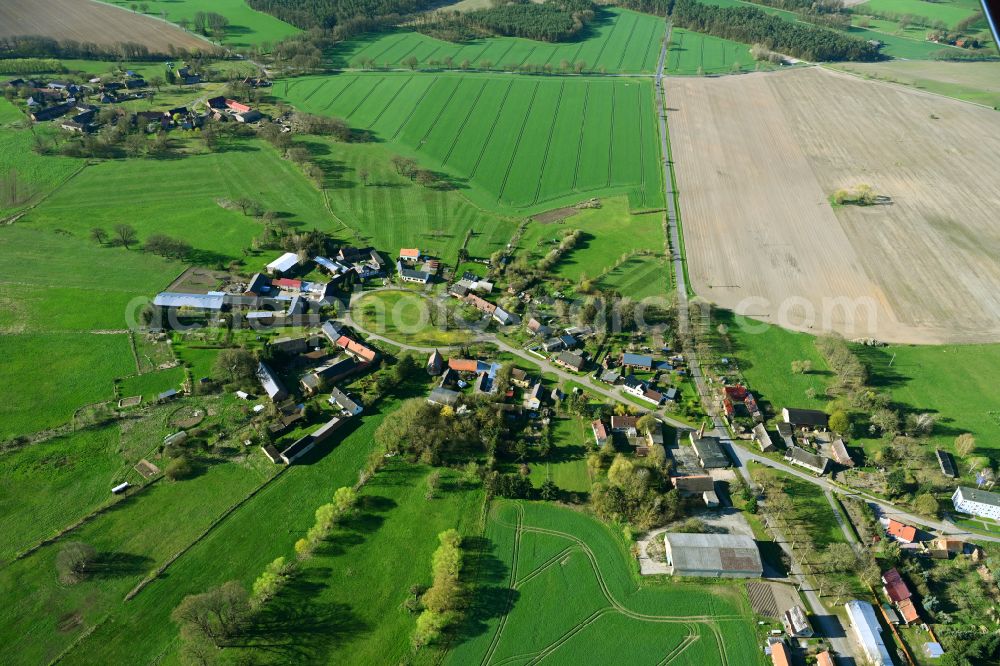 Tangendorf from the bird's eye view: Village view with radiating round - shaped farmsteads and residential buildings in the center of the village on street Hauptstrasse in Tangendorf in the state Brandenburg, Germany