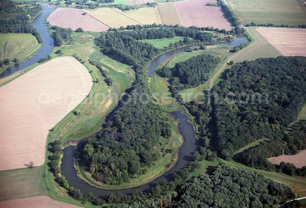 Tornitz from the bird's eye view: Blick auf die Saalemündung bei Tornitz