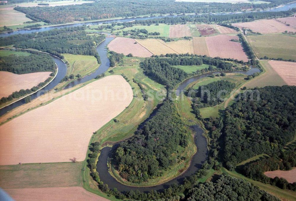 Aerial image Tornitz - Blick auf die Saalemündung bei Tornitz