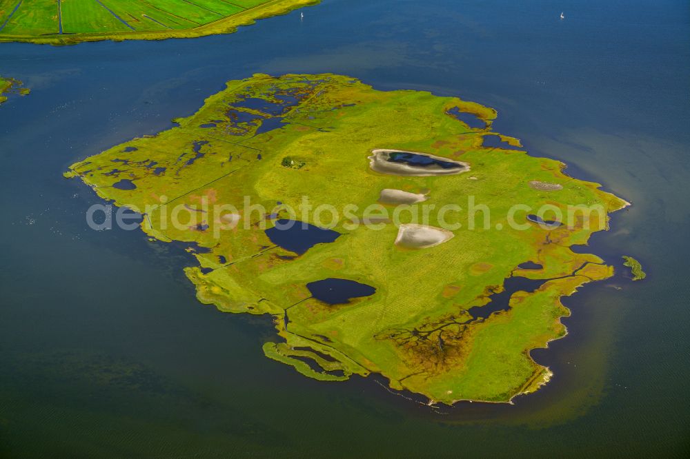 Aerial image Zingst - Salt grassland island and bird sanctuary in Zingst on the Baltic Sea coast in the state Mecklenburg - Western Pomerania, Germany