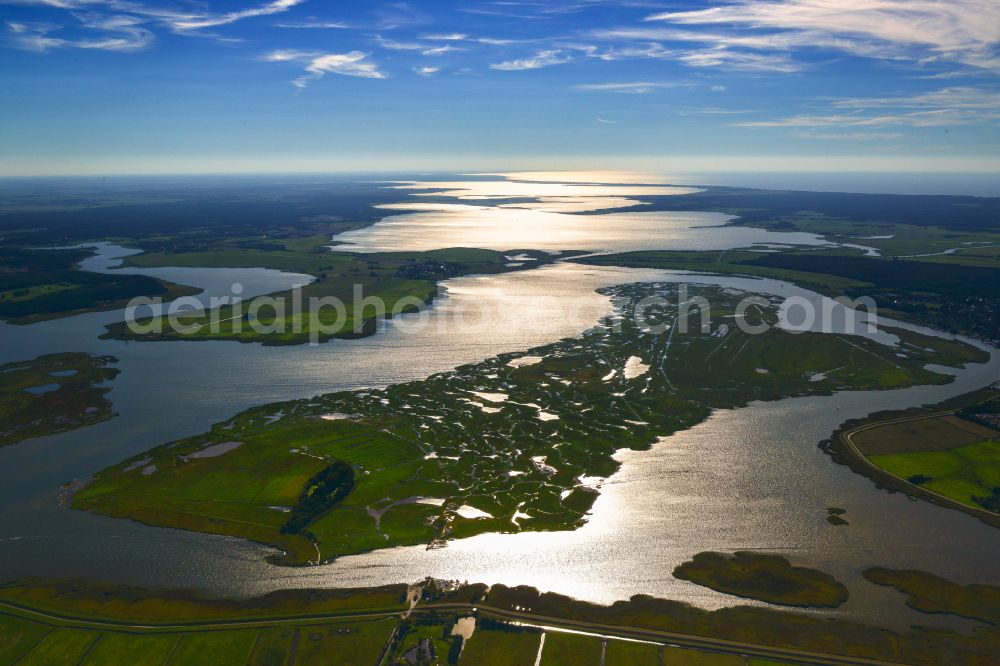 Aerial photograph Zingst - Salt grassland island and bird sanctuary in Zingst on the Baltic Sea coast in the state Mecklenburg - Western Pomerania, Germany