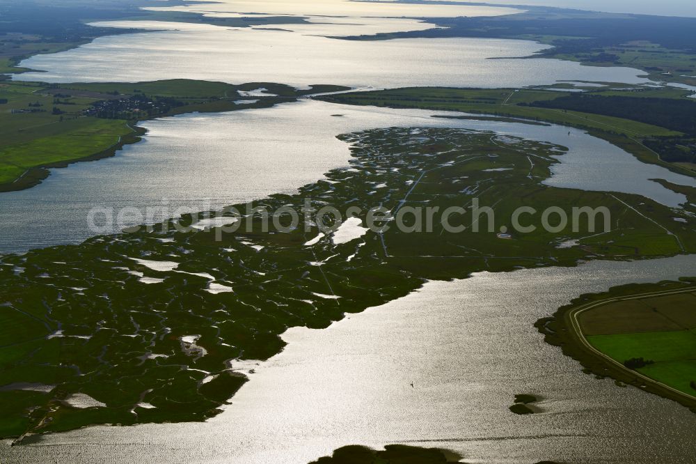 Aerial image Zingst - Salt grassland island and bird sanctuary in Zingst on the Baltic Sea coast in the state Mecklenburg - Western Pomerania, Germany