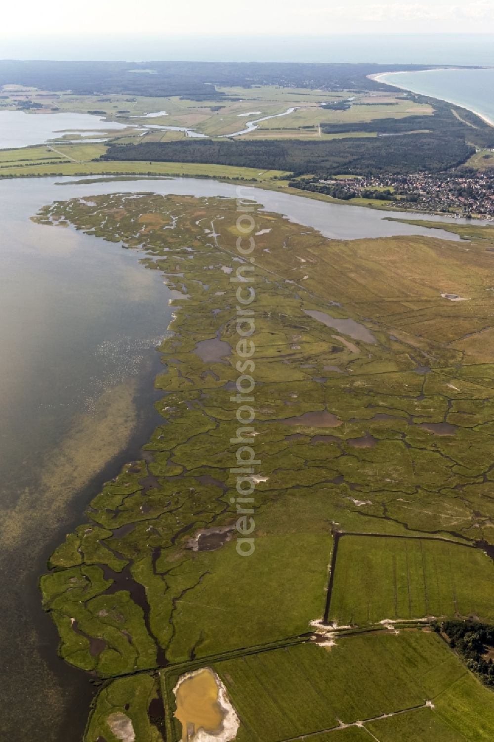 Zingst from the bird's eye view: Salt grassland island and protection of birds area in Zingst in the federal state Mecklenburg-West Pomerania