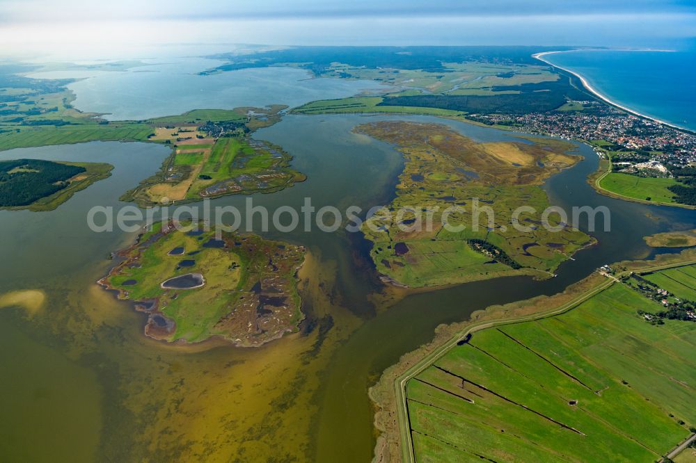 Zingst from above - Salt grassland island and protection of birds area in Zingst in the federal state Mecklenburg-West Pomerania