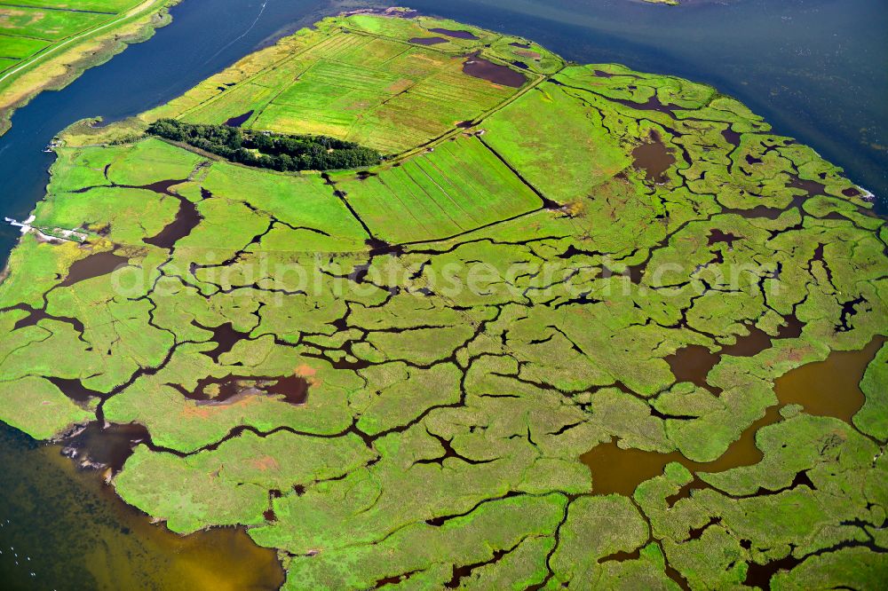 Zingst from above - Salt grassland and bird sanctuary in Zingst on the Baltic Sea coast in the state Mecklenburg - Western Pomerania, Germany