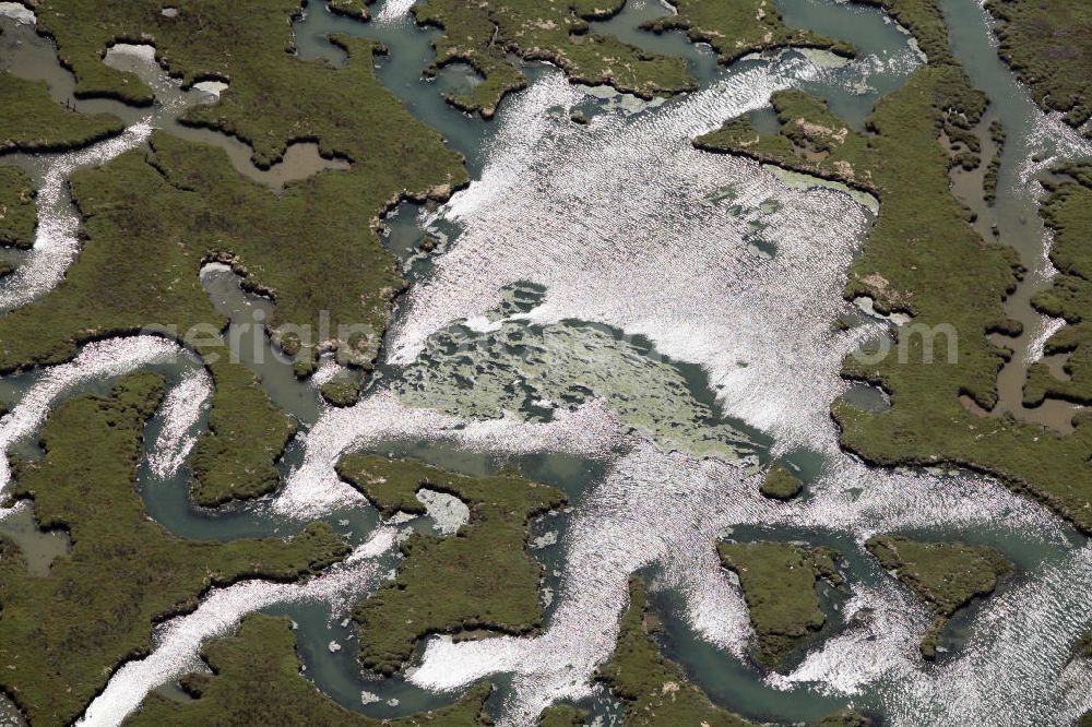 Rainham from the bird's eye view: Blick auf die Salzmarschen in der Mündung des Flusses Medway. View of the salt marshes at the mouth of the River Medway.