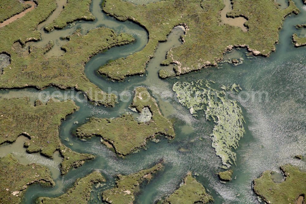 Aerial image Rainham - Blick auf die Salzmarschen in der Mündung des Flusses Medway. View of the salt marshes at the mouth of the River Medway.