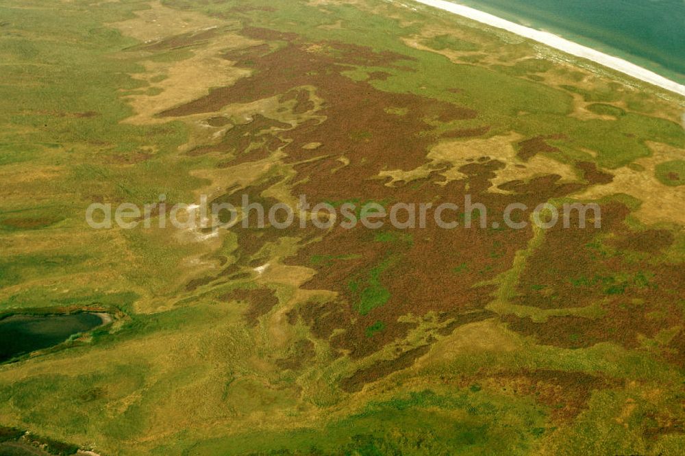 Zudar / Rügen from the bird's eye view: Blick auf eine Salzwiese. An den Küsten der Salzwassergewässer bilden sich Wiesen mit einzigartiger Biotopen aus. Salzwiesen sind Rast- und Brutgebiete zahlreicher Vogelarten und sind meist als Naturschutzgebiet ausgewiesen