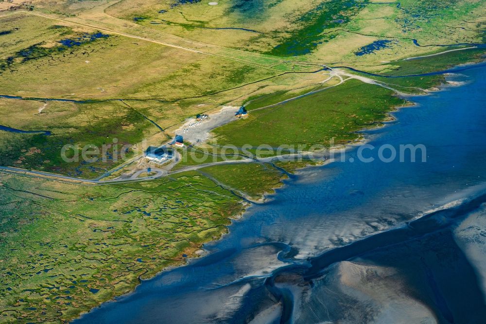 Sankt Peter-Ording from above - Salt marsh landscape on the North Sea - coast in the district Sankt Peter-Ording Pfahlbauten in Sankt Peter-Ording in the state Schleswig-Holstein