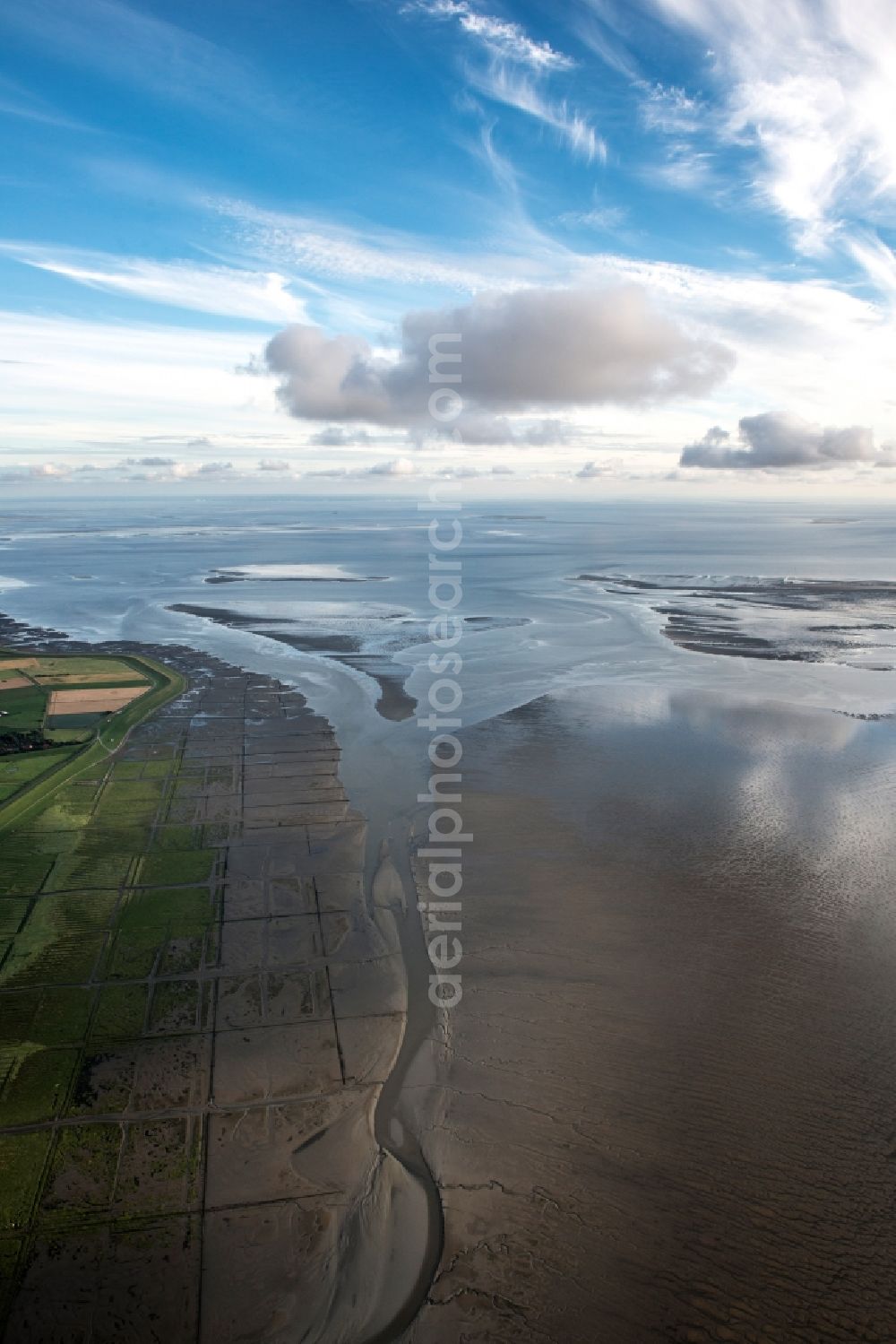 Aerial photograph Hedwigenkoog - Salt meadows for salt in Hedwigenkoog in the state Schleswig-Holstein