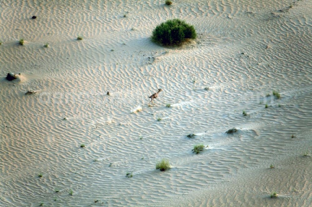 Dubai from the bird's eye view: Sand and desert landscape near Dubai, United Arab Emirates