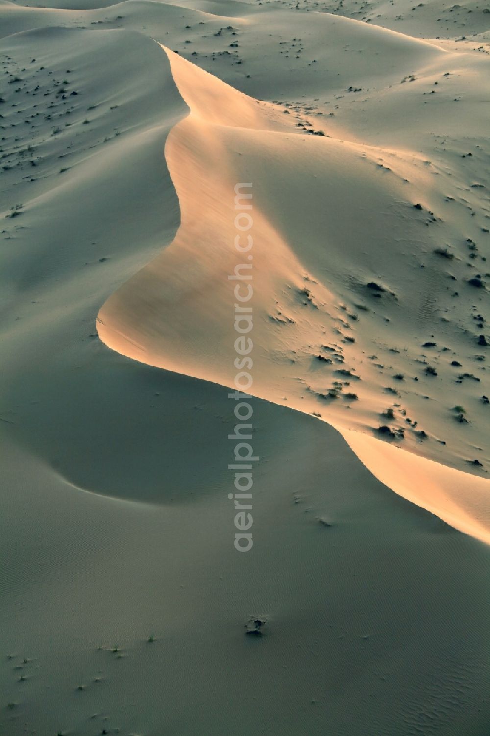 Aerial image Dubai - Sand and desert landscape near Dubai, United Arab Emirates