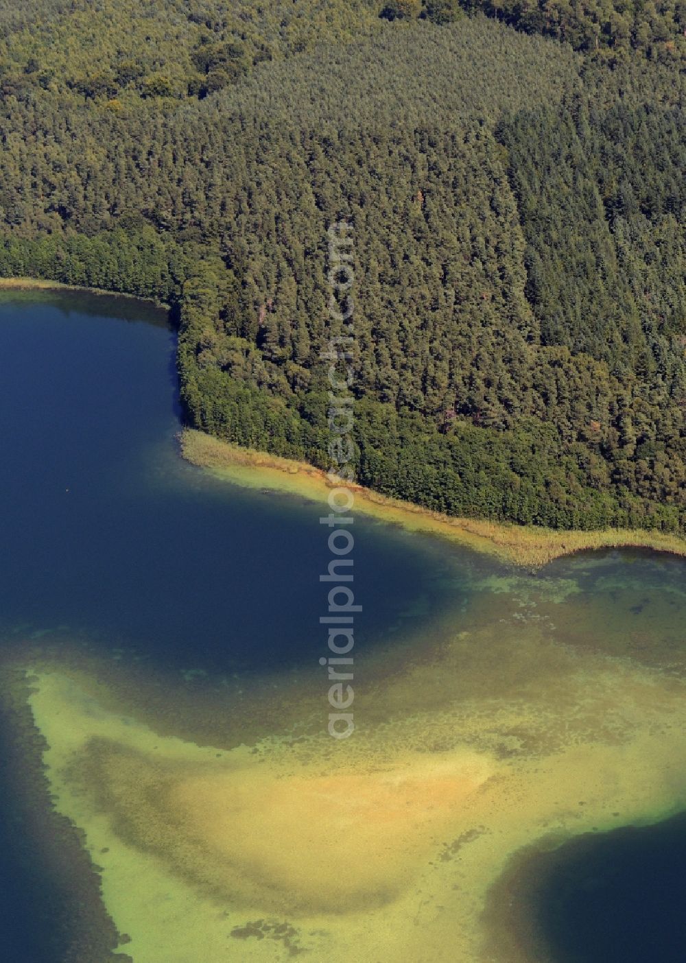 Aerial image Neustrelitz - Sand and mud structures in Lake Grosser Fuerstenseer See in Neustrelitz in the state Mecklenburg - Western Pomerania. Mud, Sand and other structures are visible in the dark blue water and on its wooded shore