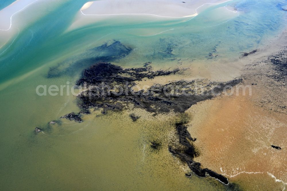 Aerial photograph List - Sandbank- forest area at the sea water surface in front of List on Sylt in the state Schleswig-Holstein