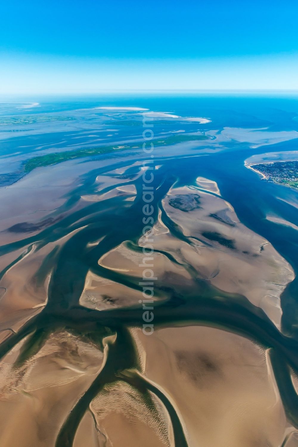Langeneß from the bird's eye view: Sandbank- forest area in the sea water surface Nordfriesisches Wattenmeer in the district Hunnenswarf in Langeness in the state Schleswig-Holstein
