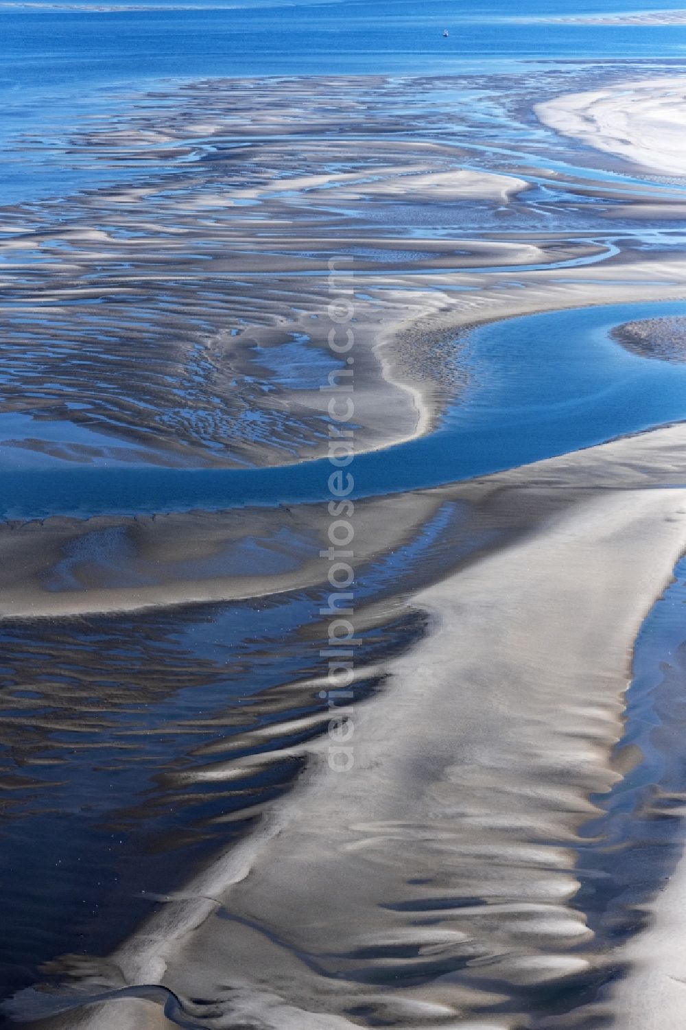 Sankt Peter-Ording from above - Sandbank- forest area in the sea water surface of North Sea in Sankt Peter-Ording in the state Schleswig-Holstein