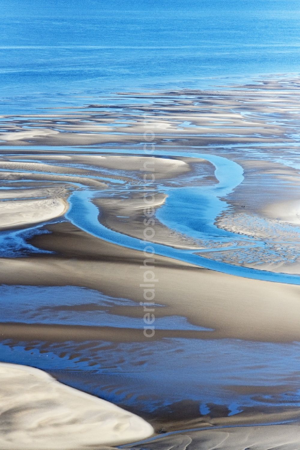 Sankt Peter-Ording from the bird's eye view: Sandbank- forest area in the sea water surface of North Sea in Sankt Peter-Ording in the state Schleswig-Holstein