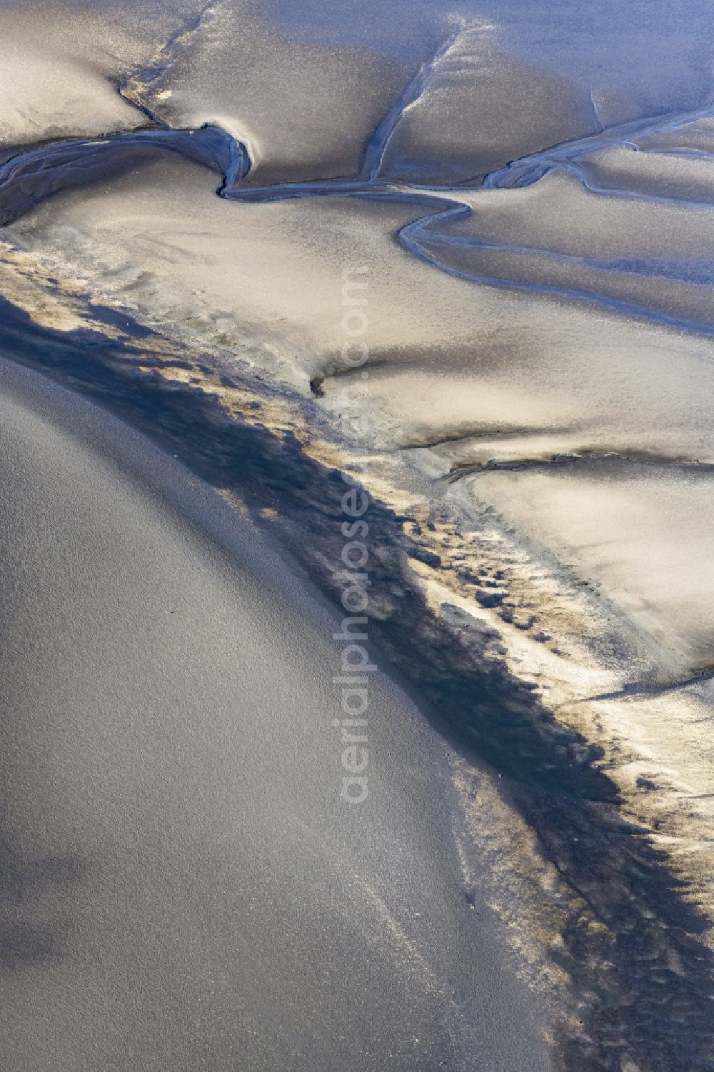 Sankt Peter-Ording from above - Sandbank- forest area in the sea water surface of North Sea in Tating in the state Schleswig-Holstein