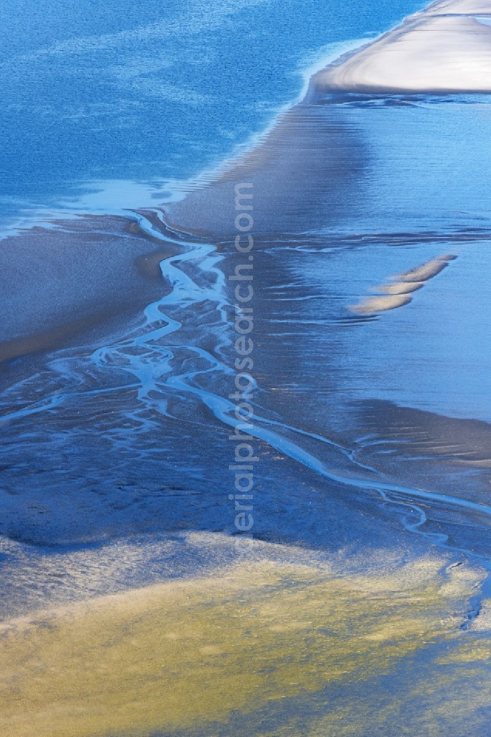 Sankt Peter-Ording from the bird's eye view: Sandbank- forest area in the sea water surface of North Sea in Tating in the state Schleswig-Holstein