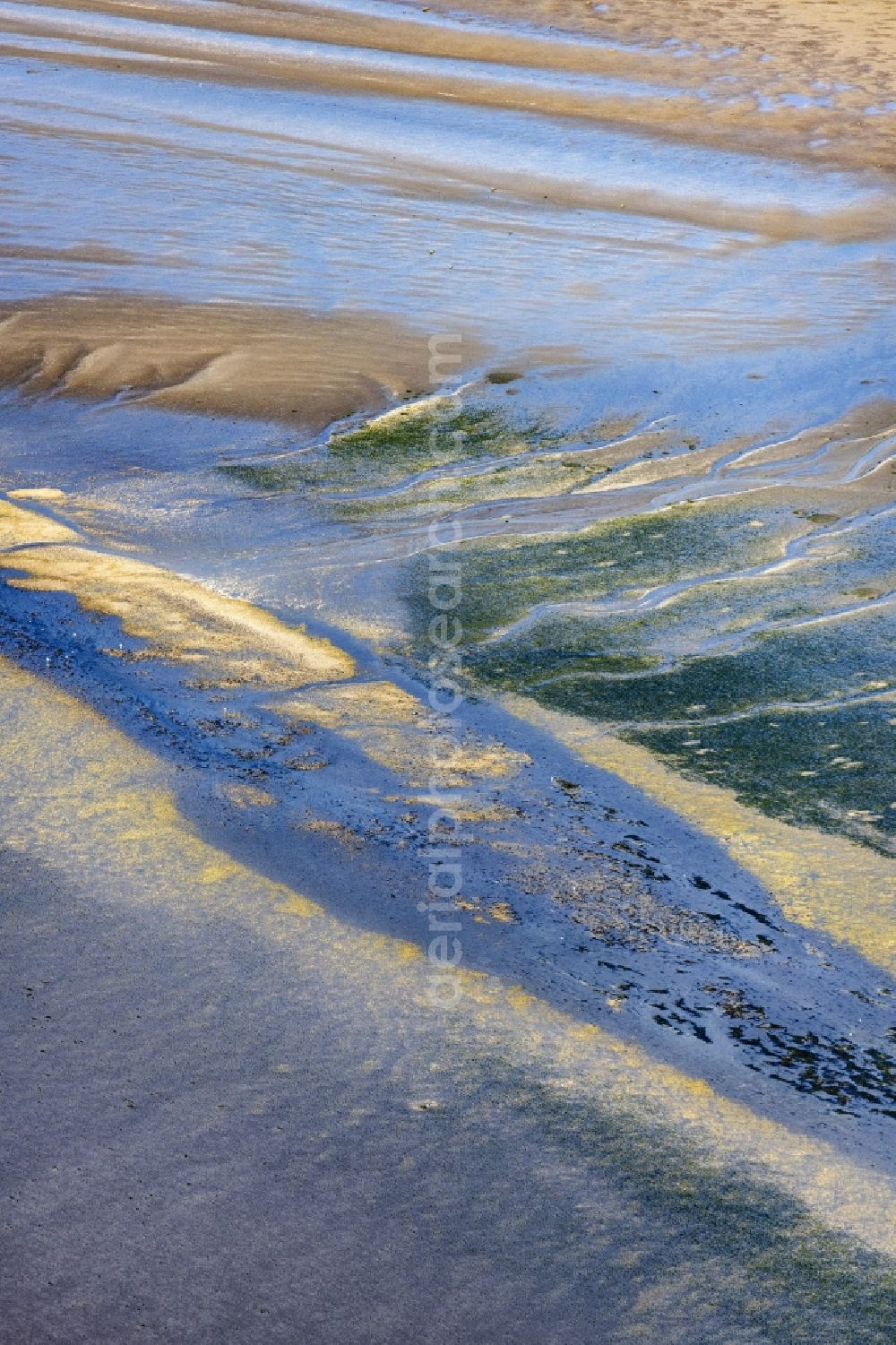 Aerial image Sankt Peter-Ording - Sandbank- forest area in the sea water surface of North Sea in Tating in the state Schleswig-Holstein