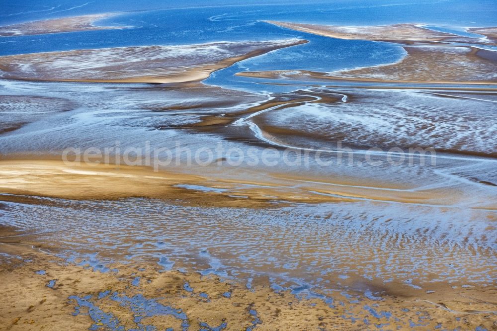 Sankt Peter-Ording from the bird's eye view: Sandbank- forest area in the sea water surface of North Sea in Hedwigenkoog in the state Schleswig-Holstein