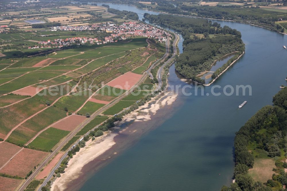 Aerial photograph Nackenheim - Sand banks at low tide of the Rhine at Nackenheim in Rhineland-Palatinate. On the left bank of the Rhine in front the island Kisselwoerth emerge sandbanks